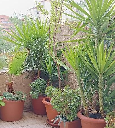 Apartamento Príncipe Caces Exterior foto