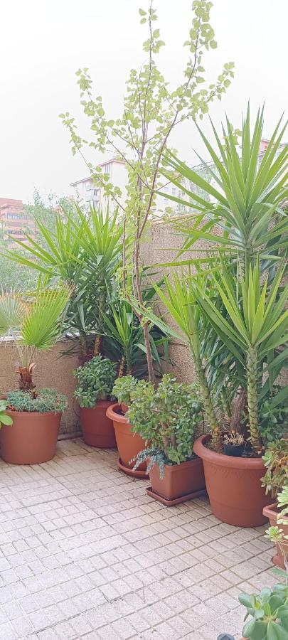 Apartamento Príncipe Caces Exterior foto
