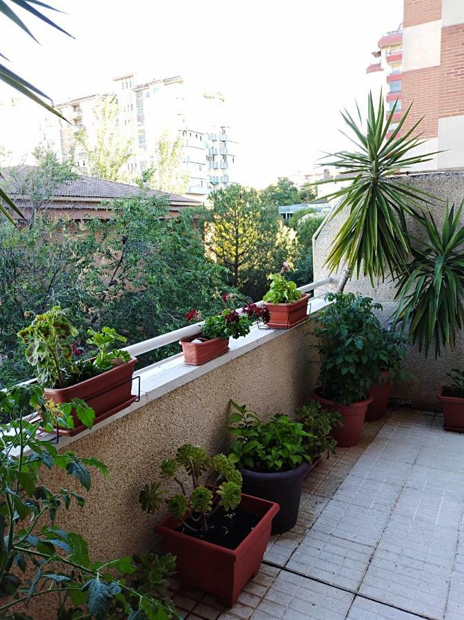 Apartamento Príncipe Caces Exterior foto