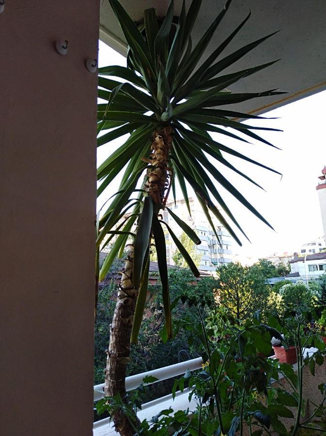 Apartamento Príncipe Caces Exterior foto